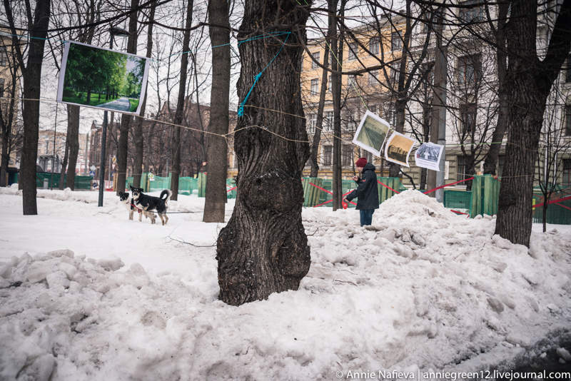 Арт-выставка в Миусском сквере в защиту деревьев от вырубки Общественной палатой РФ