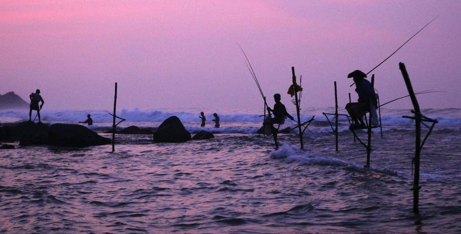 Рыбаки на традиционных ходулях ловят на рассвете рыбу в бухте Унаватуна на южном побережье Шри-Ланки. © Tim Chong/Reuters