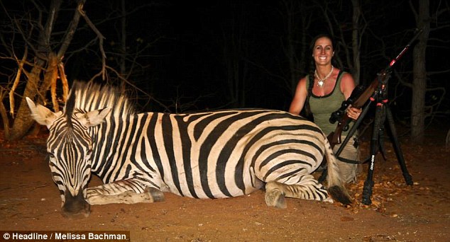 Earning stripes: Bachman poses with her gun over the corpse of a zebra