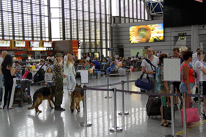  Кинологи не дремлют. Олимпийский аэропорт должен охраняться и собаками тоже..