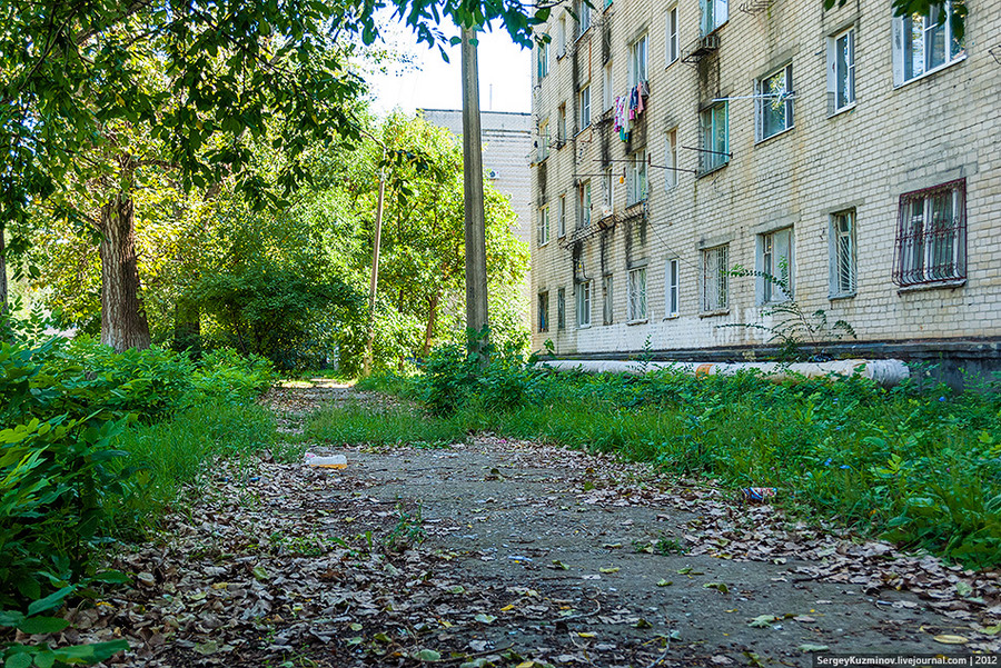 11. Тротуар вдоль дома №59в по ул. Гагарина завален сухими листьями, мусором и порастает травой.