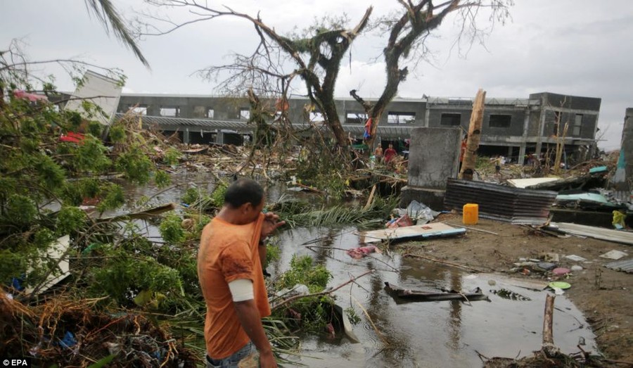 Ruin: A man wipes his face while surveying the damage to one area of Tacloban. Branches from trees can be seen strewn across the land