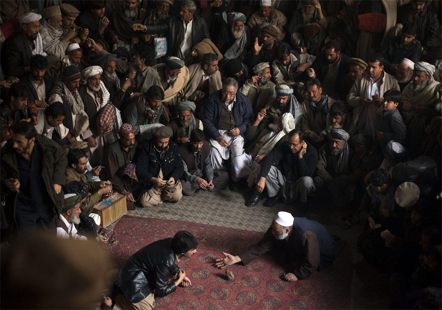 Перепелиные бои в Афганистане — популярное хобби и способ заработка на ставках. © Ahmad Masood/Reuters