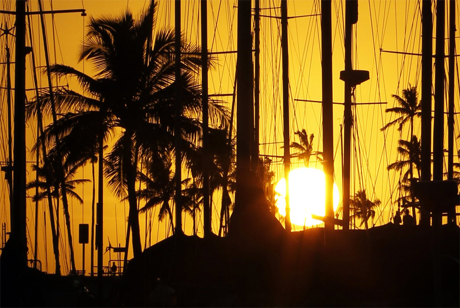 Мачты в яхтенной гавани Ала-Ваи в Гонолулу на фоне заходящего солнца. © Yuriko Nakao/Reuters
