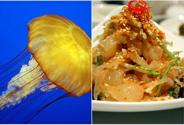 Jellyfish salad-10 meals that will bite you back