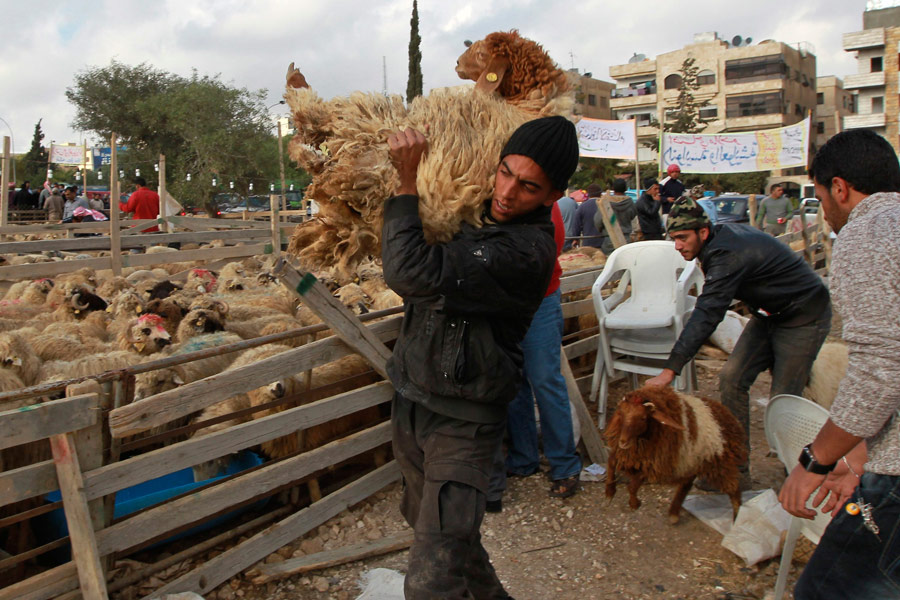 Торговец домашним скотом на рынке в Аммане, Иордания. © Muhammad Hamed/Reuters