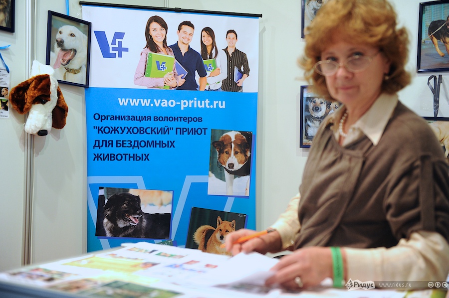 Стенд волонтеров Кожуховского приюта для животных © Антон Белицкий/Ridus.ru