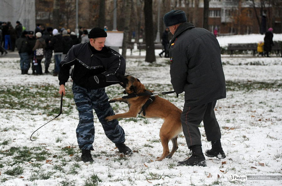 Полицейский фестиваль «Секреты профессии». © Василий Максимов/Ridus.ru