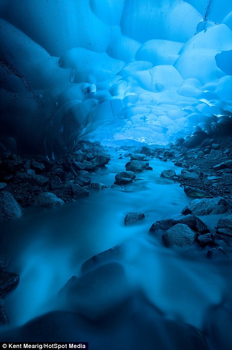 Ice ceiling: A fast flowing stream of freezing water can be seen here underneath the glacier's canopy