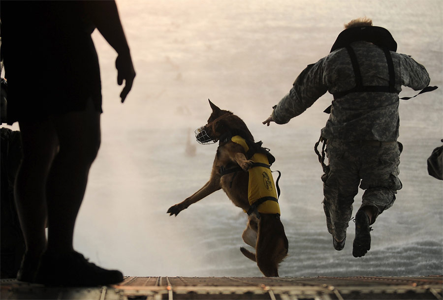 Американский солдат и его собака прыгают из вертолета в воды Мексиканского залива во время учений. © Manuel J. Martinez/U.S. Air Force/Reuters