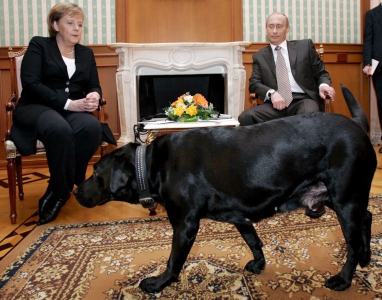 Даже Ангелу Меркель пробила мелкая дрожь при виде чорной суки Кони. Видите как она скрестила ноги и трет вспотевшие ладошки? А В.Путину хоть бы хны.