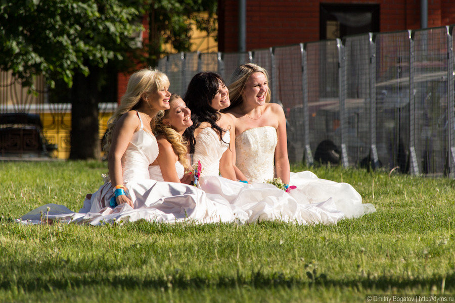 Сбежавшие невесты-2012, Вы не поверите, но девушки кричат 