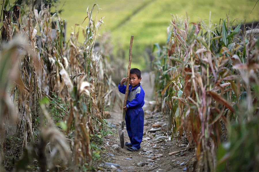 Мальчик в кукурузном поле колхоза Сокса-Ри, пострадавшем от наводнения. © Damir Sagolj/Reuters