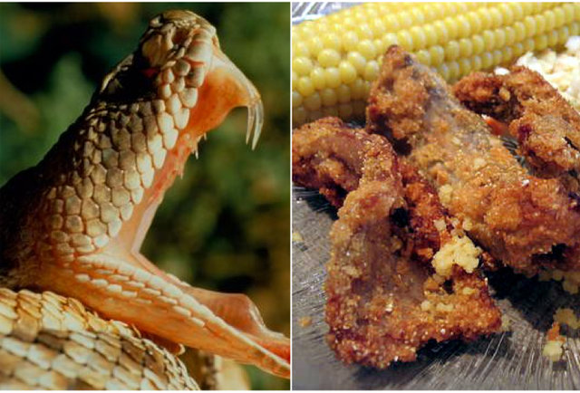 Fried snake-10 meals that will bite you back