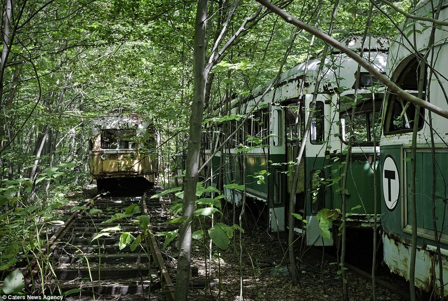 A trolley graveyard: Matthew, 35, began his journey to document abandoned sites a decade ago while researching the decline of the state hospital system