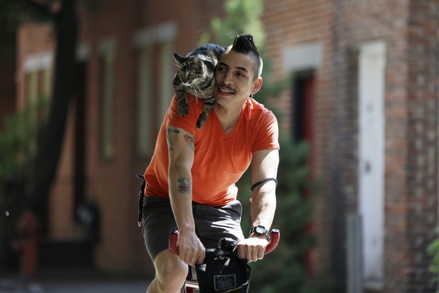 CyclistandCat03 Велосипедист и его кошка