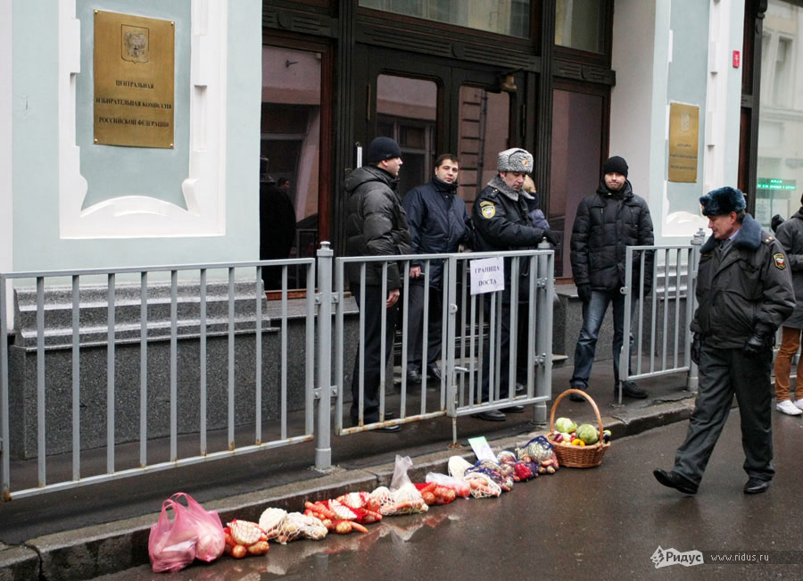 К зданию ЦИК РФ активисты принесли сетки с овощами. © Антон Тушин/Ridus.ru