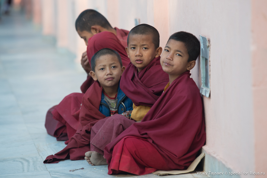 Tibetan children monks