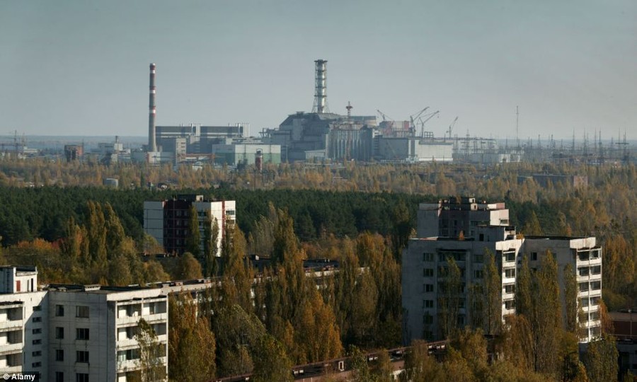 After the Chernobyl disaster in the 1980s, the town of Pripyat has been uninhabited 
