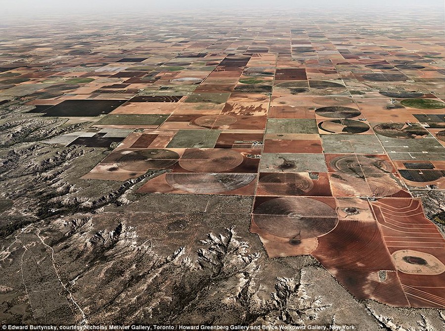 Circles on the landscape: Pivot Irrigation #11, High Plains, Texas Panhandle, USA 2011