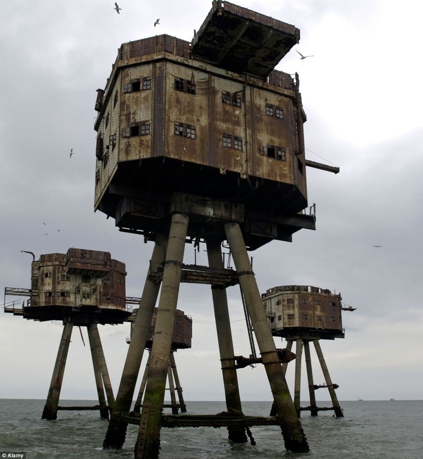 Seagulls are now the only inhabitants at the Army's old Anti-Aircraft towers at Redsands 