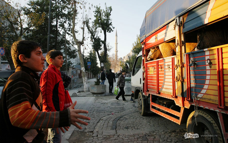 Курбан-байрам в Стамбуле. © Антон Тушин/Ридус