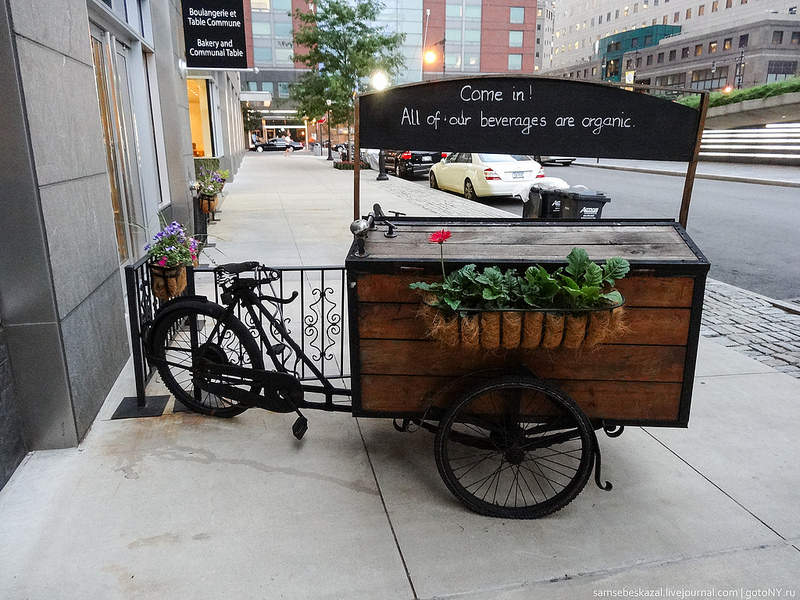 Ридус показал 50 велосипедов Нью-Йорка  - фото 36