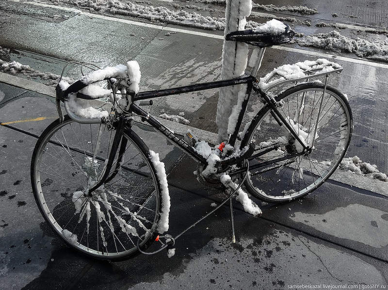 Ридус показал 50 велосипедов Нью-Йорка  - фото 20