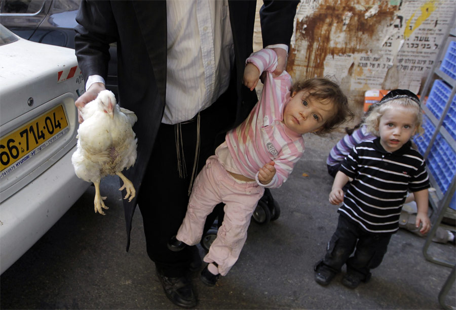 Ортодоксальный еврей несет курицу и дочь во время ритуала Капарот в Иерусалиме. © Ammar Awad/Reuters