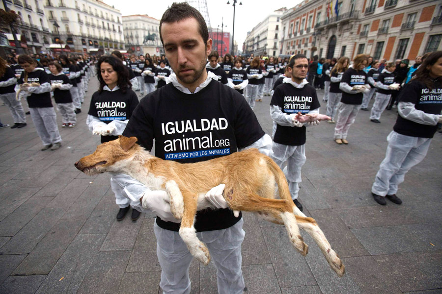Активист по защите прав животных несет мертвую собаку во время демонстрации на площаде Мадрида Пуэрта-дель-Соль в знак протеста против жестокого обращения с животными. © Juan Medina/Reuters