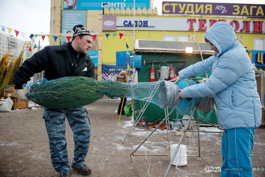 Елочный базар в Москве. © Антон Белицкий/Ridus.ru