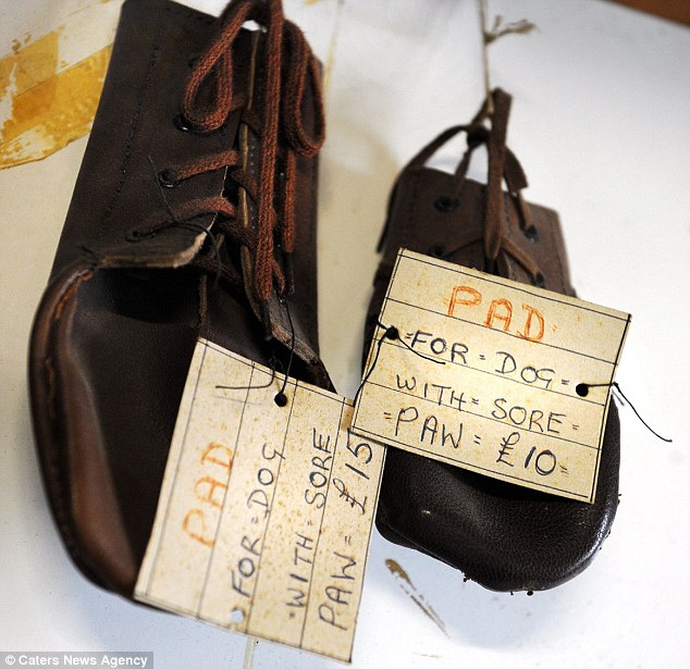 The shop is decorated with clogs and shoes including this leather pad which was made for an injured dog 