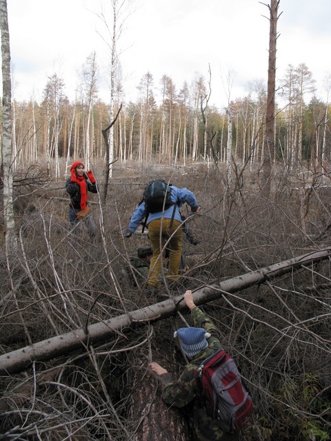 Участники выезда перебираются через завалы деревьев, погибших от прошлогодних пожаров © фотографии Аркадия Иванова и Саши Пермяковой