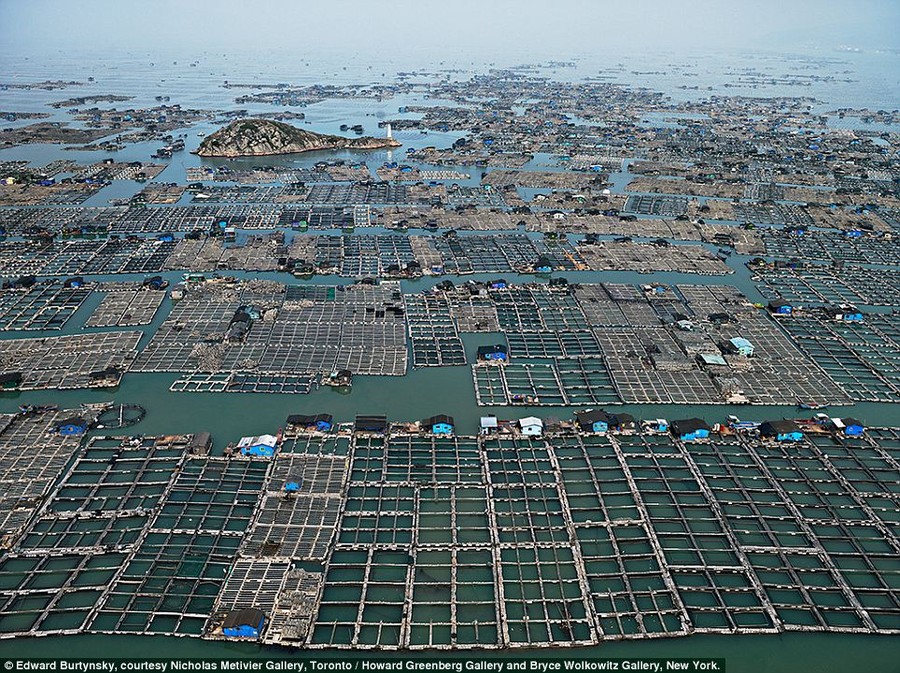 Industry: Marine Aquaculture #1, in Luoyuan Bay, Fujian Province, China, 2012