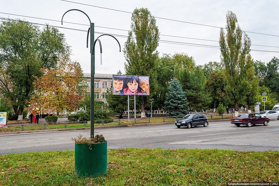 24. Еще один вариант конструкций вертикального озеленения на пересечении улиц Гагарина и Павлова. Снимок сделан в октябре 2012 года, в самый разгар озеленительного сезона в наших широтах.