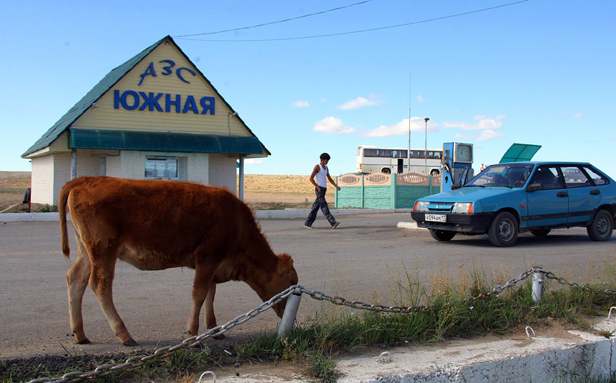 АЗС в республике Тува. © Владимир Смирнов/ИТАР-ТАСС
