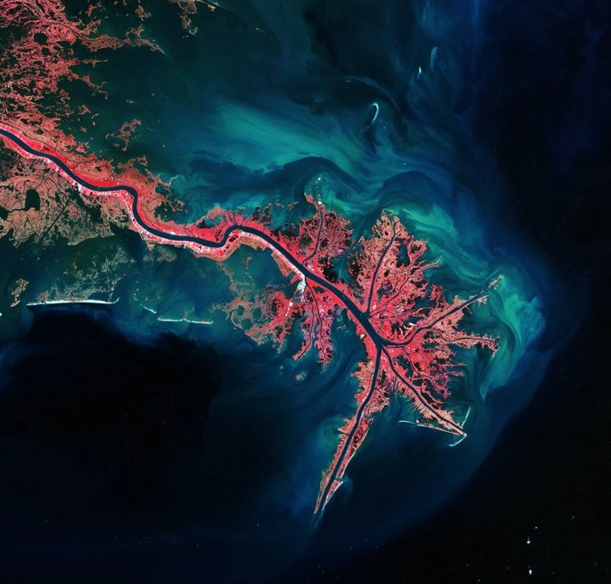 Дельта реки Миссисипи при впадении в Мексиканский залив.