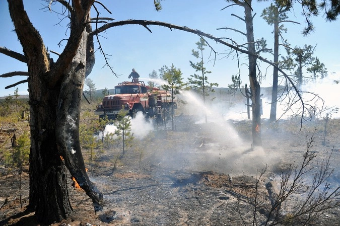Пожарная машина на месте лесного пожара в Забайкалье