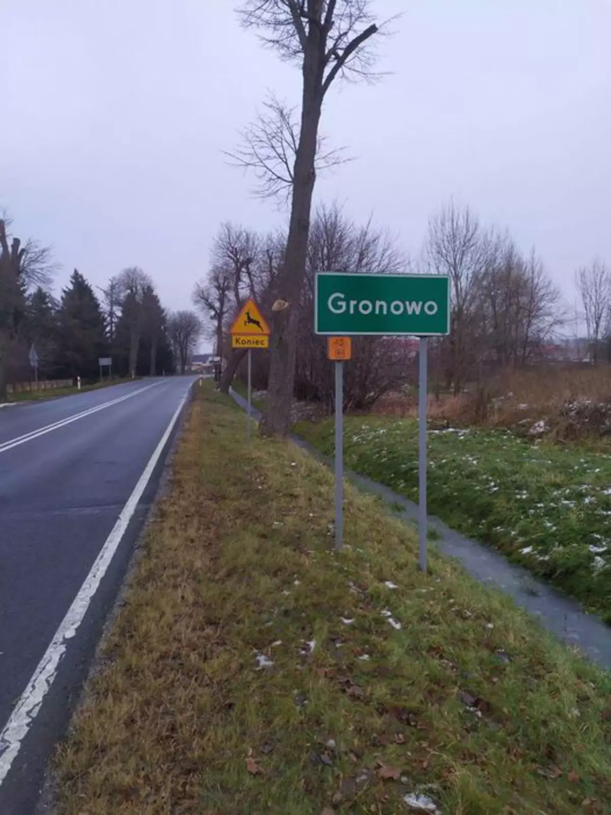 Деревня Гроново Деревня Гроново