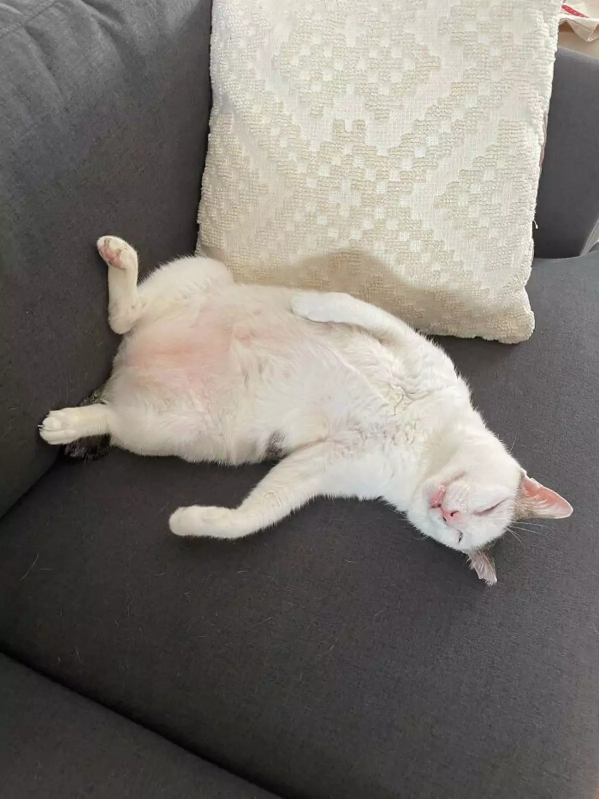 «Взял этого смешного „старичка“ с улицы». «Взял этого смешного „старичка“ с улицы».