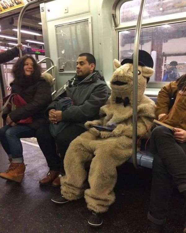 Зимой в таком костюме идеально ездить в метро 