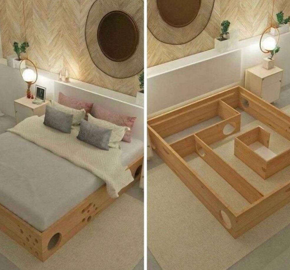 Идеальная кровать для кошатников. 