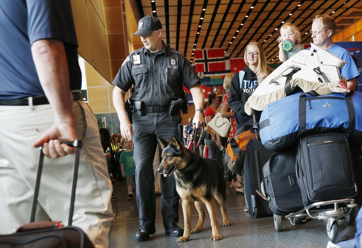 Усиление мер безопасности на вокзалах и в аэропортах США.