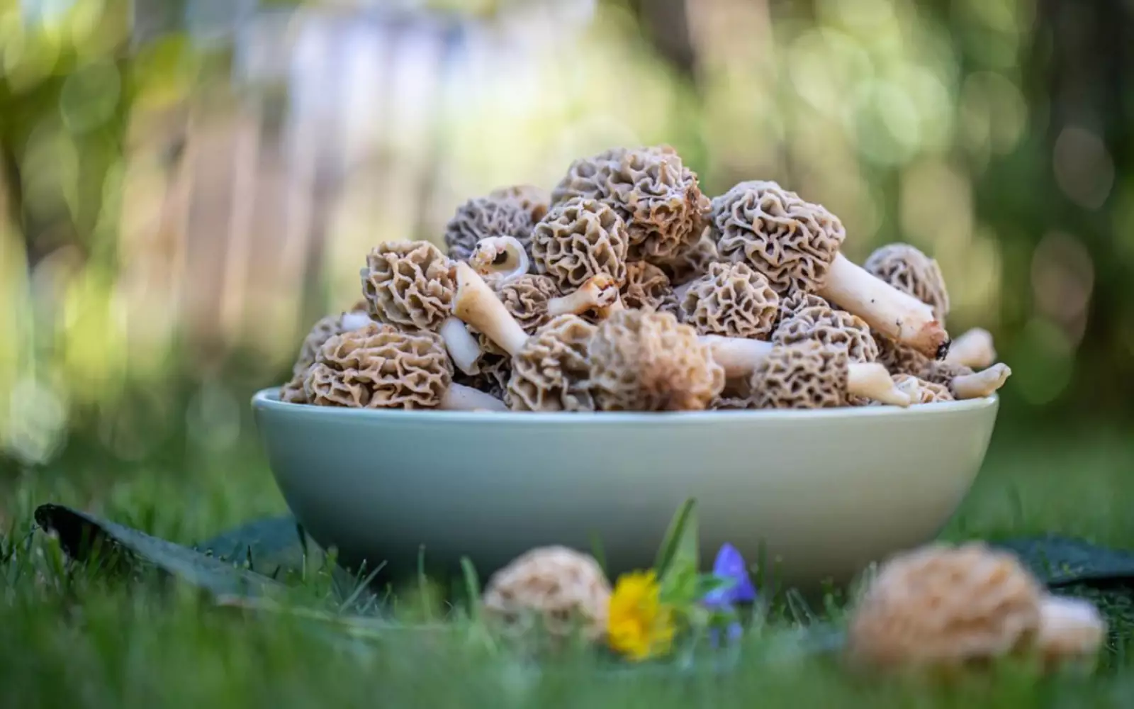 ������ �������� �����: ������ ��� ������ � ��������� �� �� ����