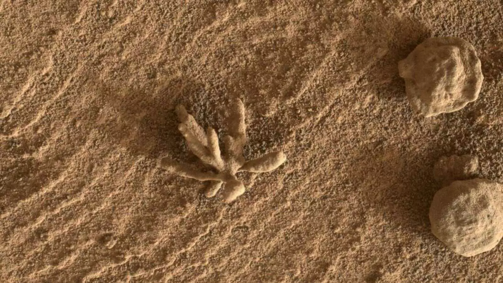 Марсианские Марсианские