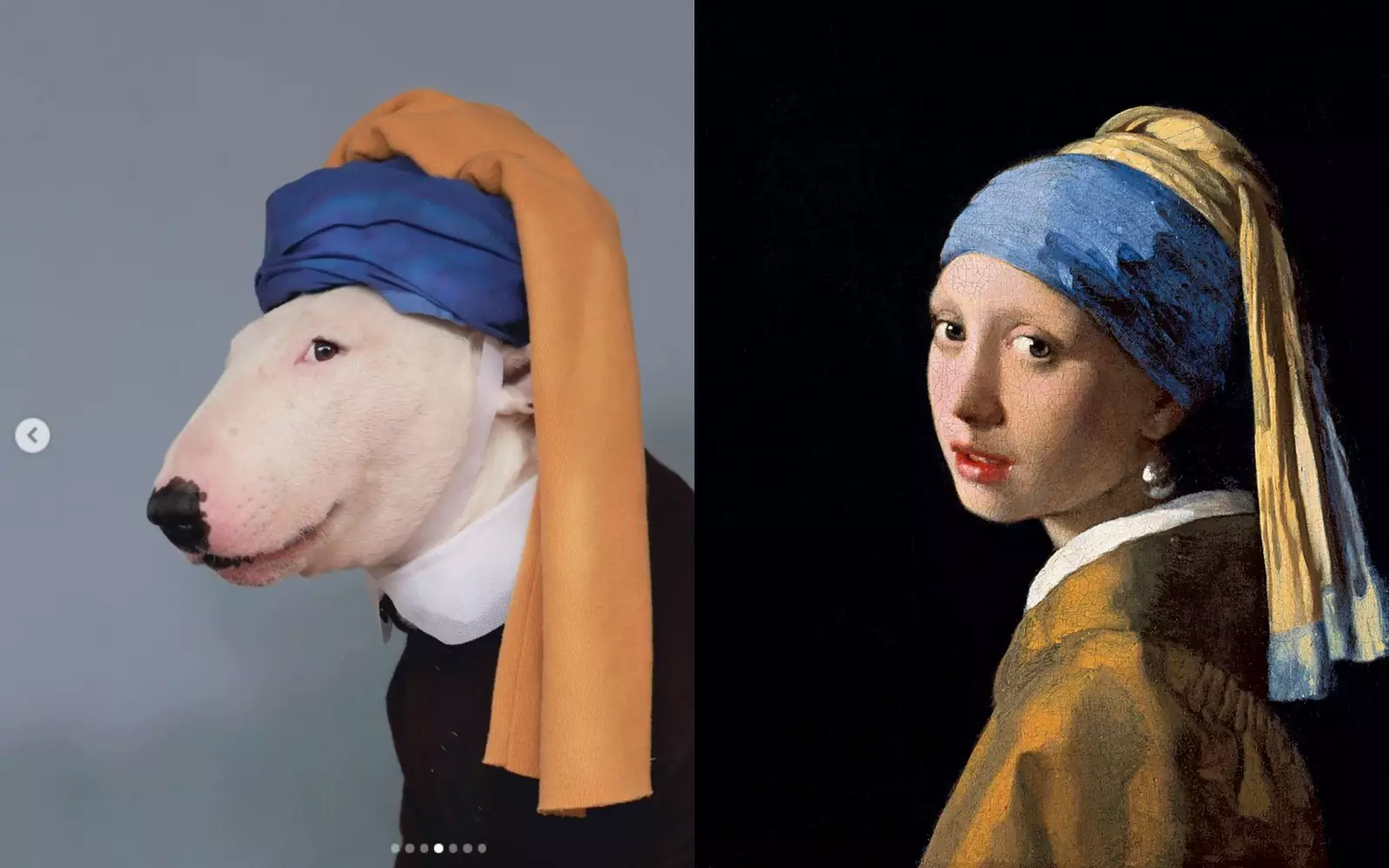 Ян Вермеер «Девушка с жемчужной серёжкой». Ян Вермеер «Девушка с жемчужной серёжкой».