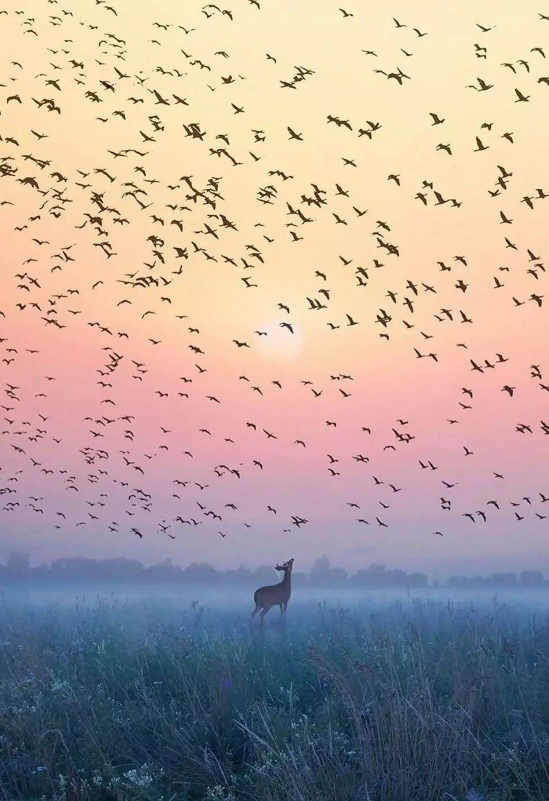 Рассвет. Рассвет.