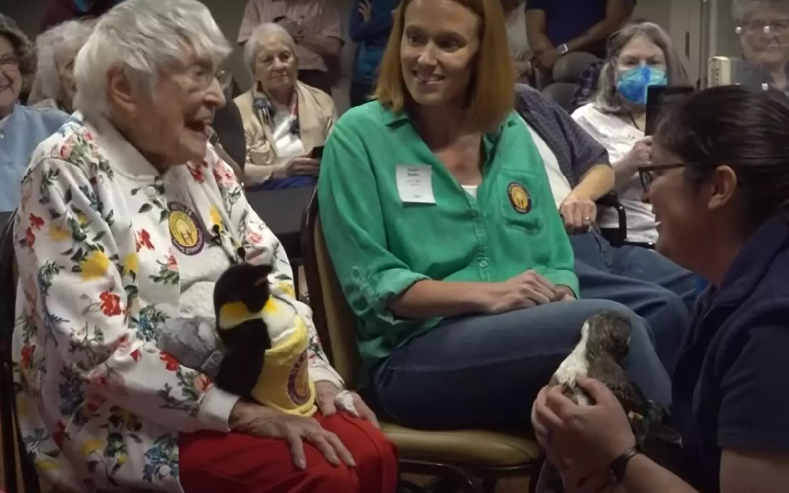 Берта была в восторге от пингвина. Берта была в восторге от пингвина.