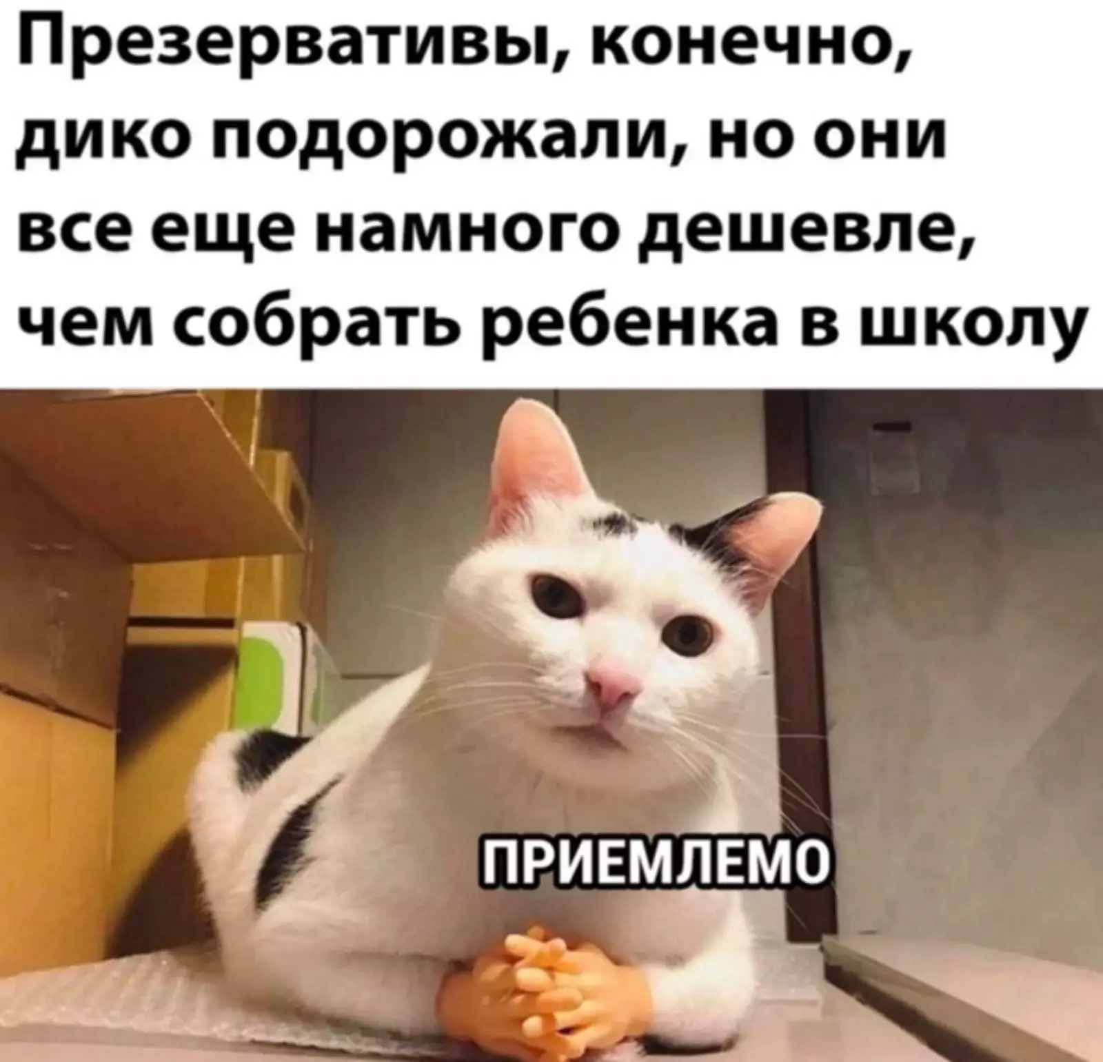 И не поспоришь. И не поспоришь.