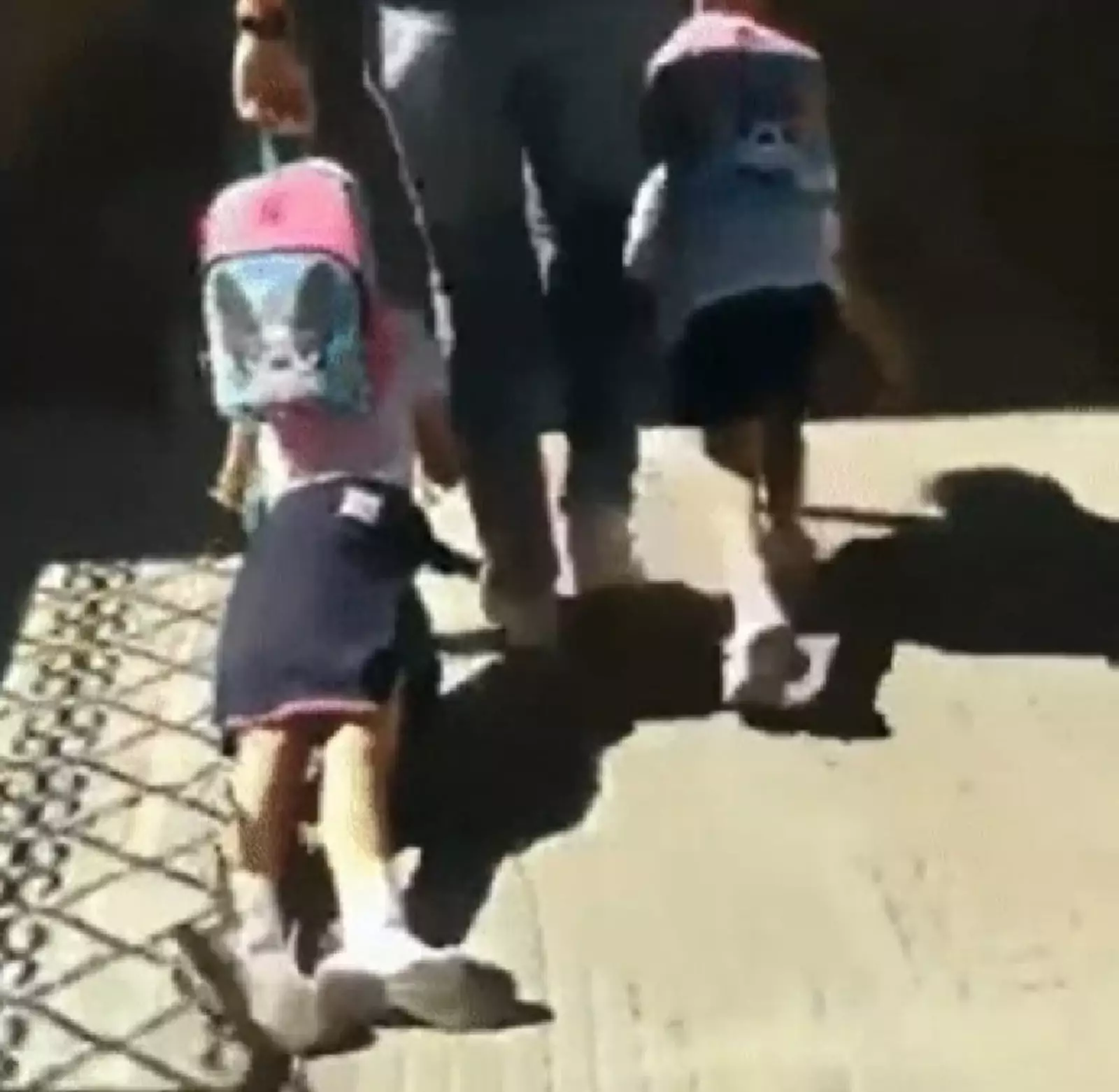 Картина маслом: «Снова в школу». Картина маслом: «Снова в школу».